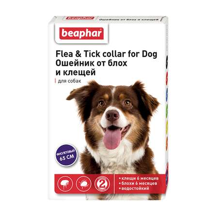 Ошейник для собак Beaphar Flea and Tick collar от блох и клещей Фиолетовый
