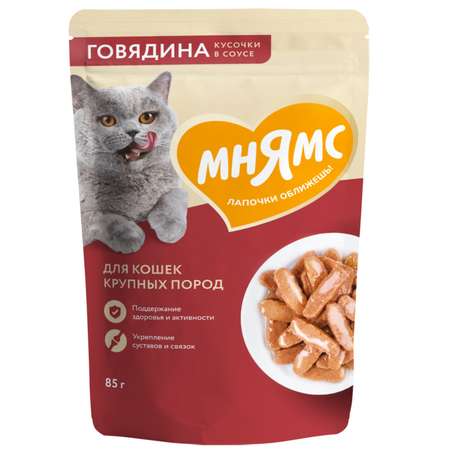 Корм для кошек Мнямс 85г с говядиной кусочки в соусе пауч