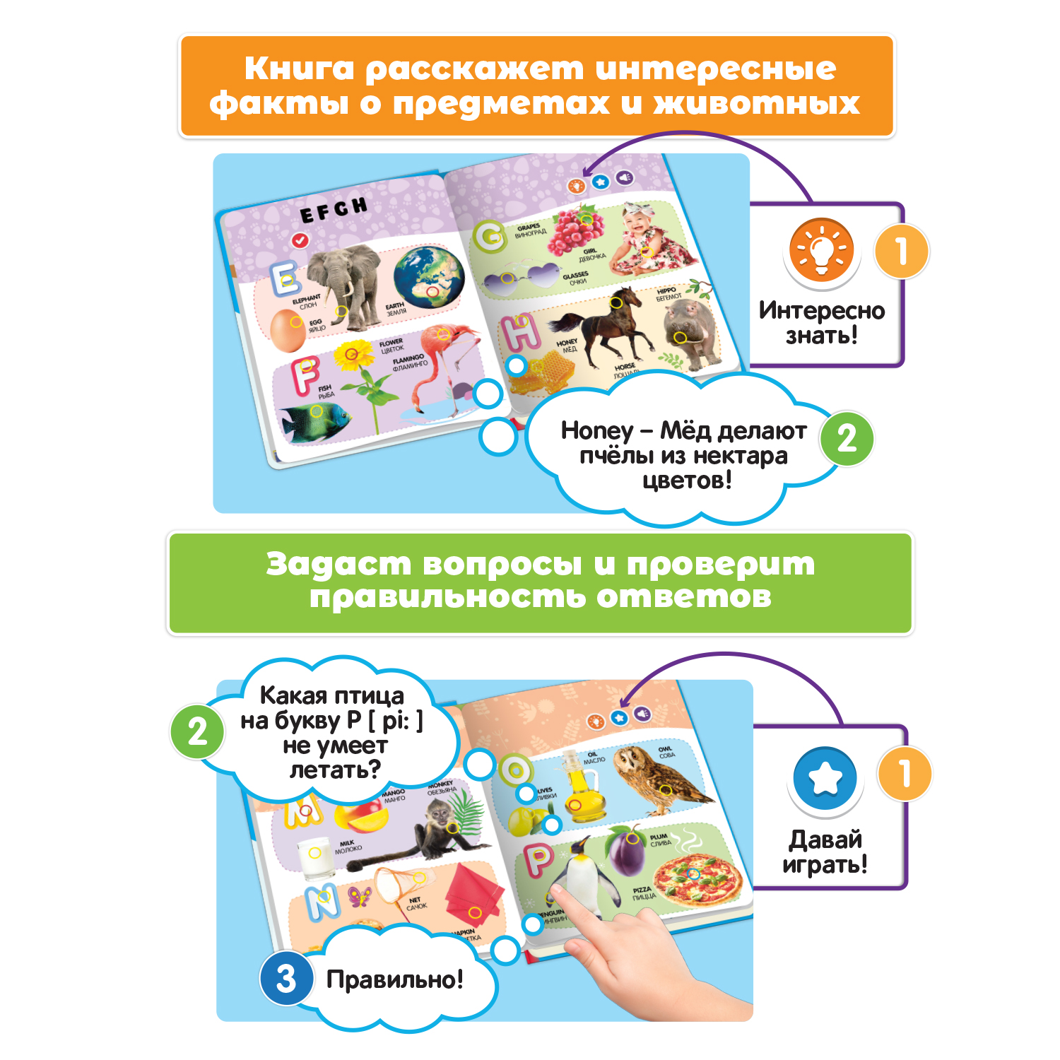 Говорящая книжка Нажималка BertToys Английский алфавит купить по цене 2290  ₽ в интернет-магазине Детский мир