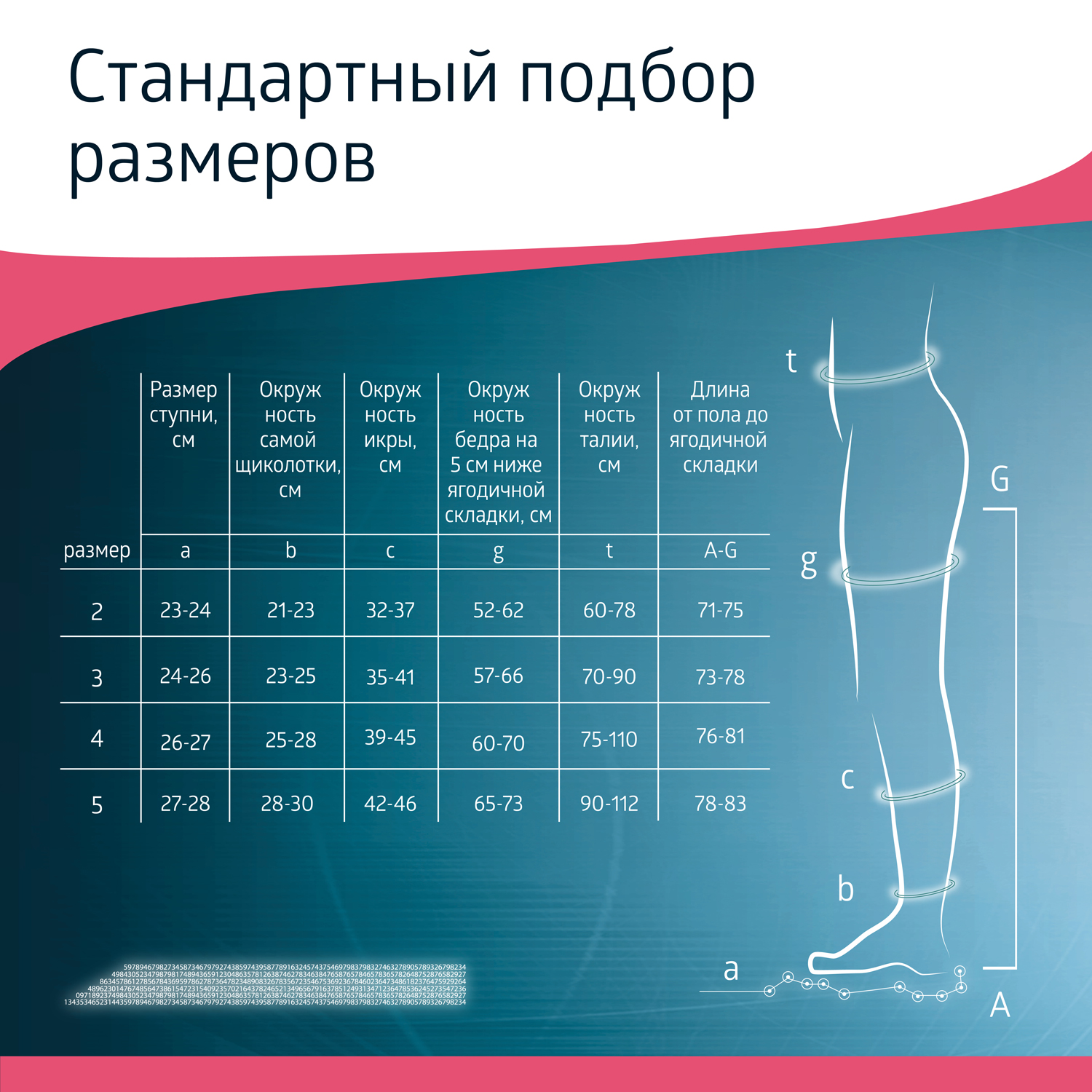 Размер противоэмболических чулок. JW 212 компрессионные чулки таблица размеров. Чулки b.well Размерная сетка. Чулки антиэмболические mediven. Чулки b.well 2 класс Размерная сетка.