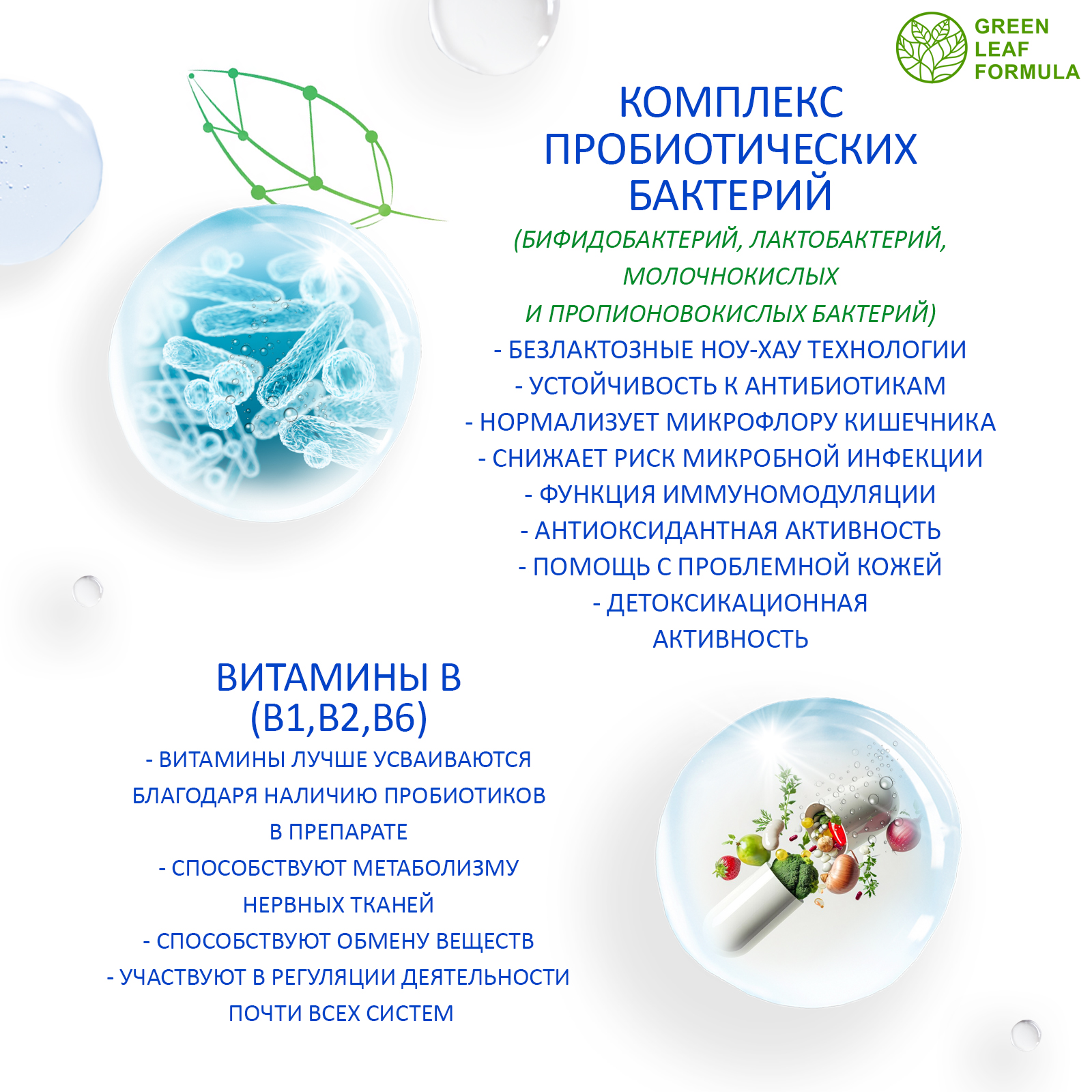 Метабиотик и витамины В Green Leaf Formula комплекс пробиотиков для кишечника - фото 5