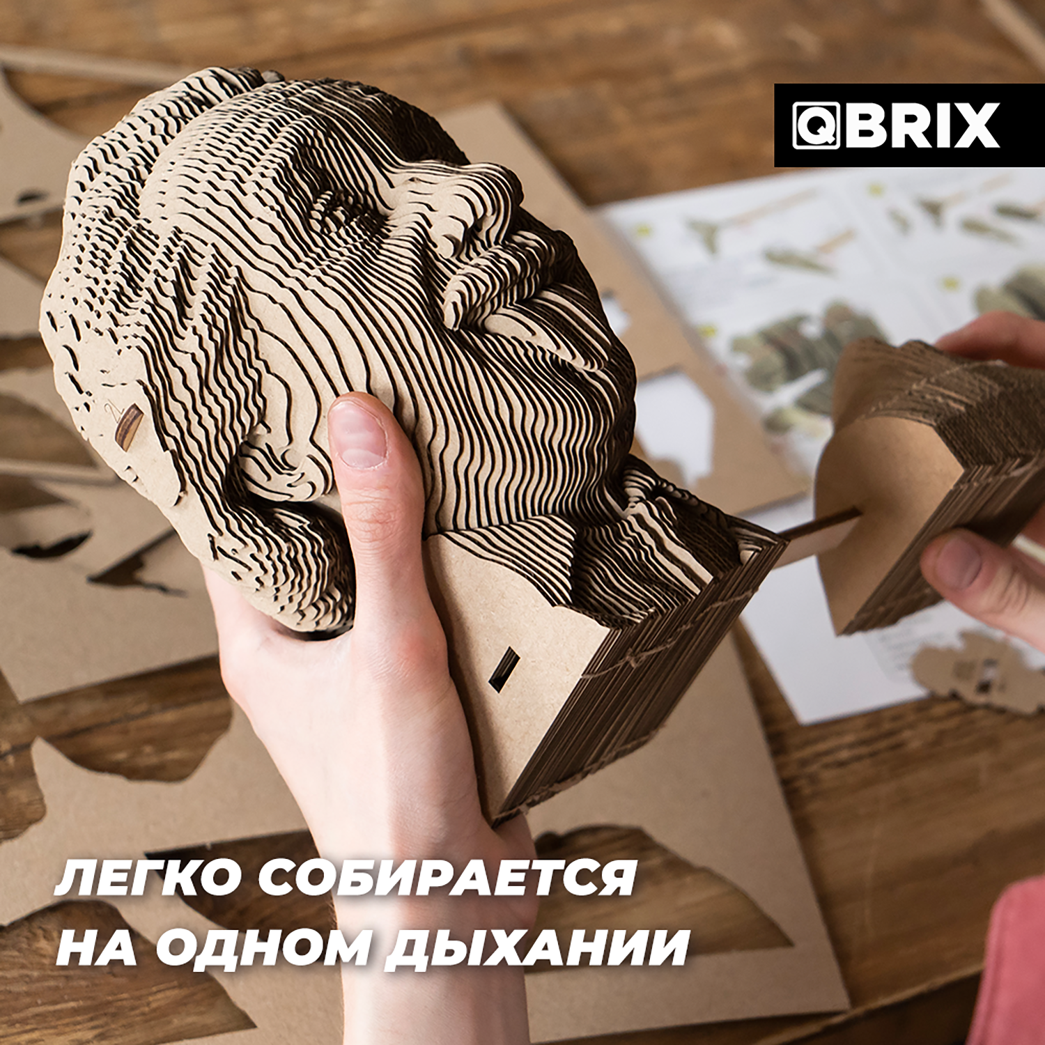 Конструктор QBRIX 3D картонный Эйнштейн 20002 20002 - фото 5