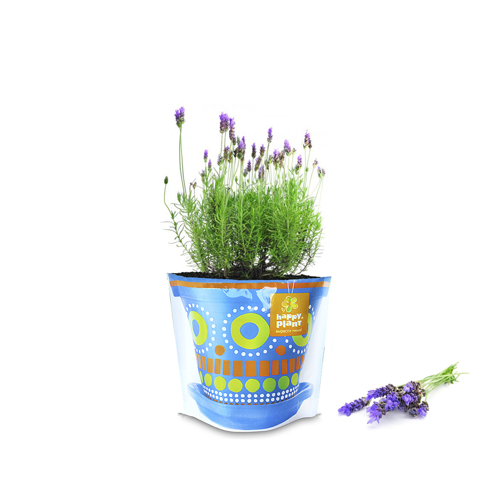 Набор для выращивания Happy Plant Вырасти сам растение Лаванда ароматная - фото 3