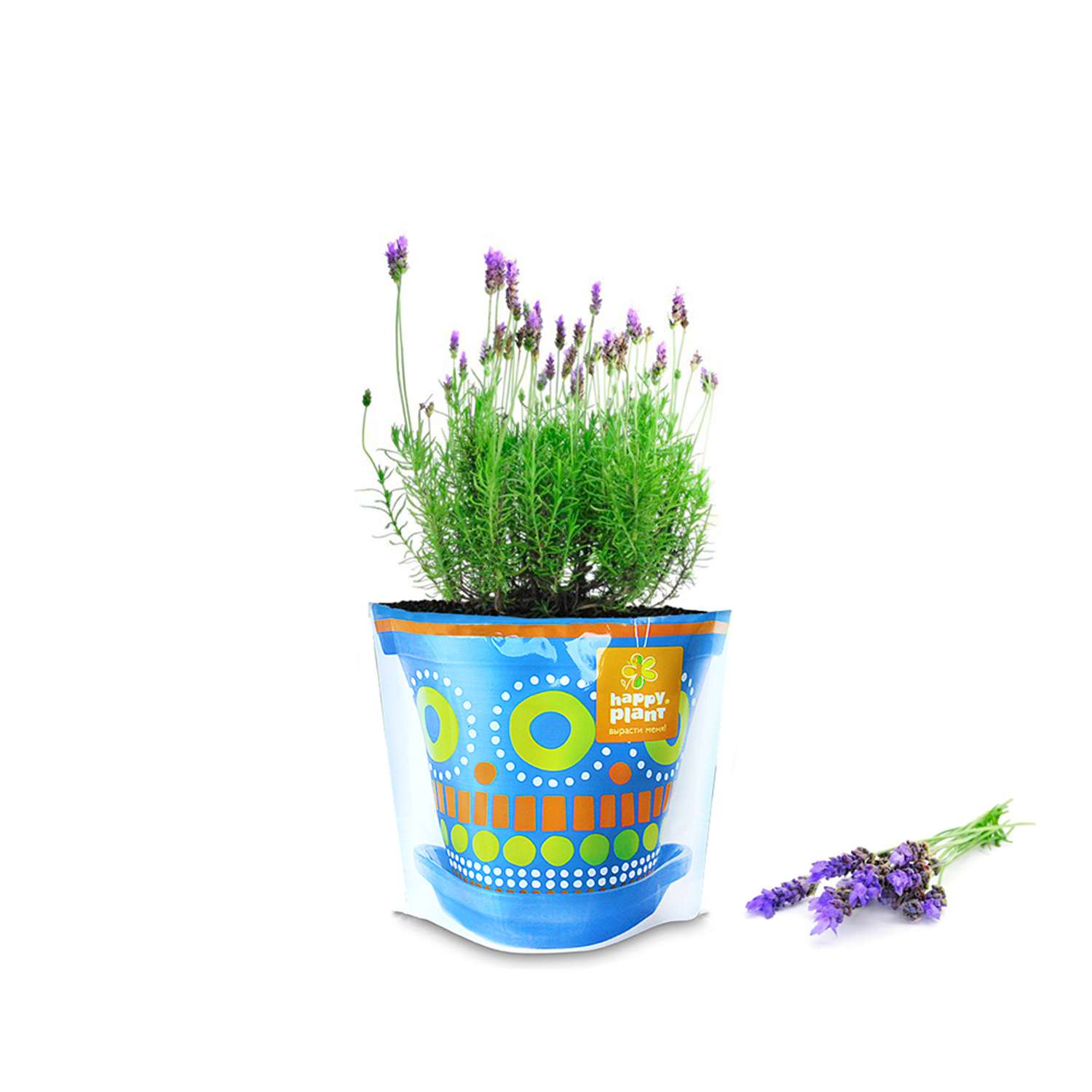 Набор для выращивания Happy Plant Вырасти сам растение Лаванда ароматная - фото 3