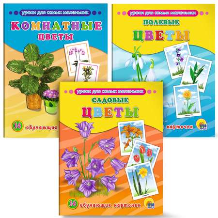 Комплект обучающих карточек Проф-Пресс Комнатные цветы+Полевые+Садовые