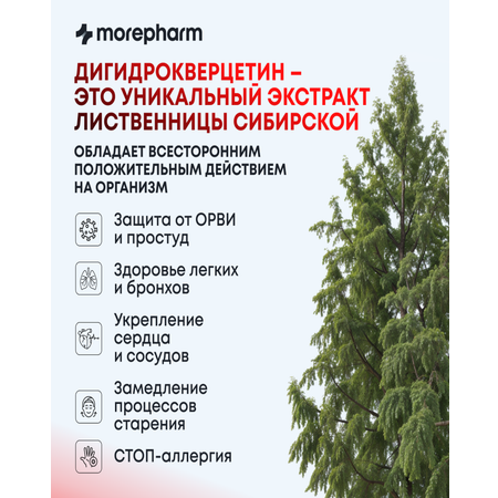 БАД morepharm Дигидрокверцетин для сердца сосудов бронхов и легких