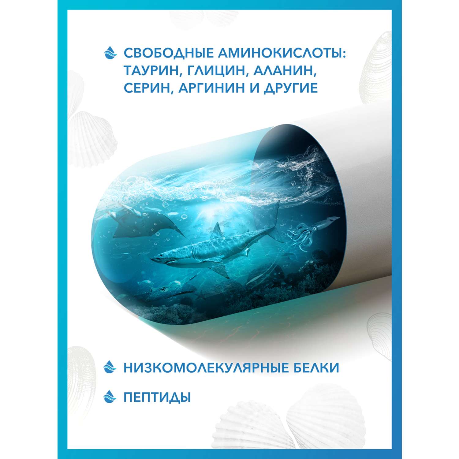 Вытяжка из морского гребешка Доктор Море аминокислоты для зрения 30 капсул - фото 4