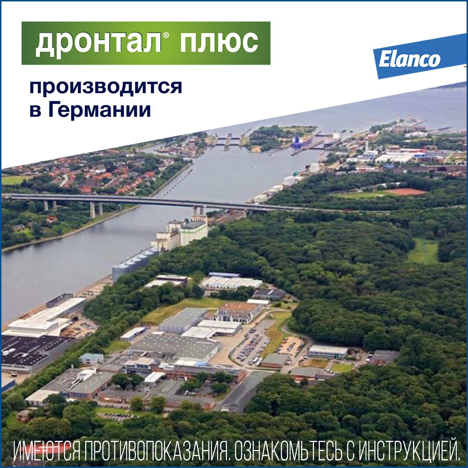 Таблетки для собак Elanco Дронтал плюс против глистов XL 2таблетки - фото 7