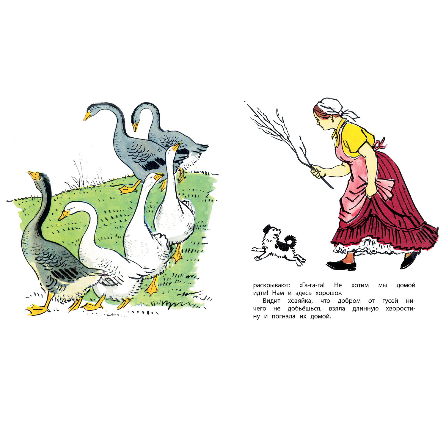 Книга Махаон Петушок с семьёй - фото 4