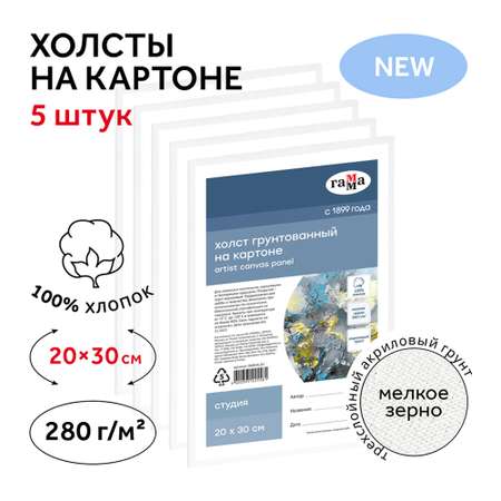 Набор холстов на картоне Гамма Студия 5 шт 20х30 см 100% хлопок 280 г/м2 мелкое зерно