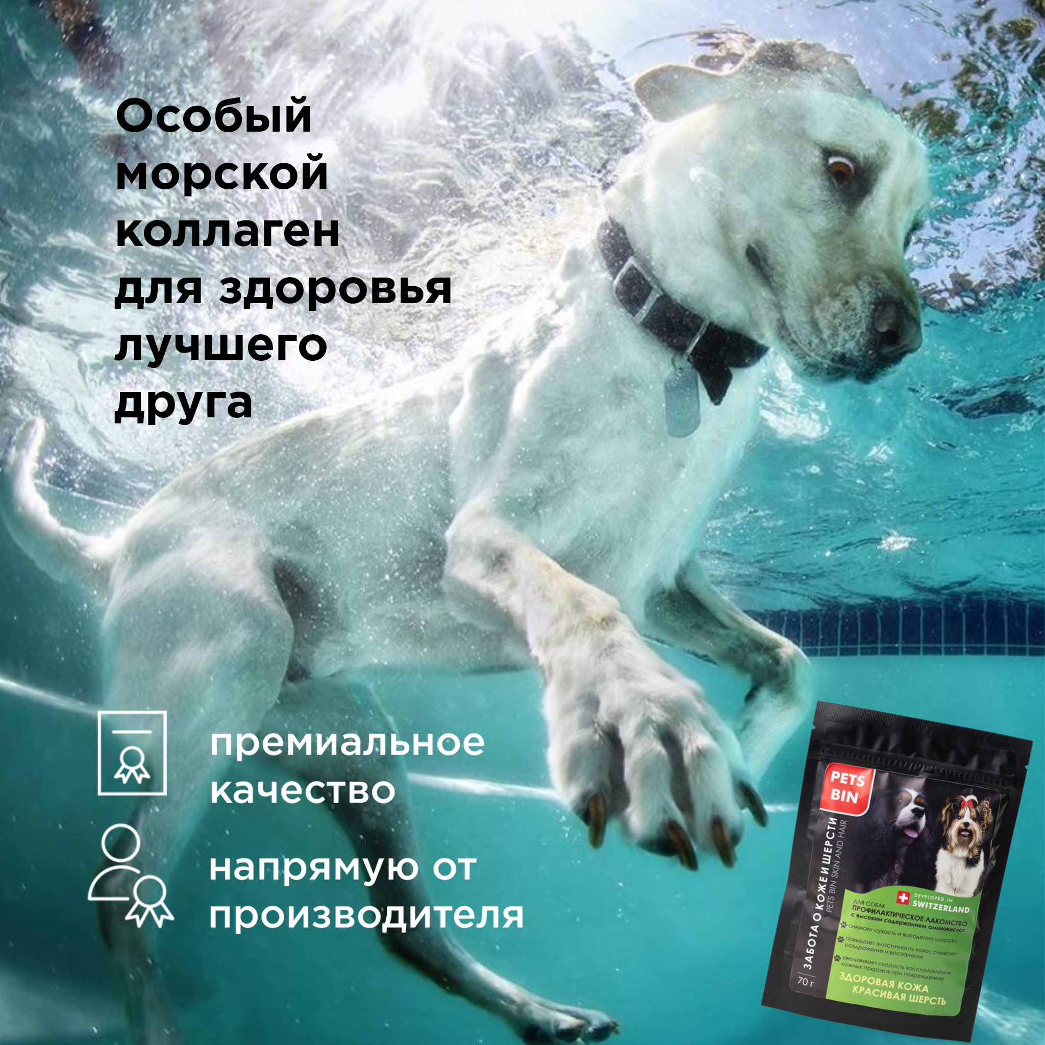 Лакомство для собак PETS BIN Skin and Hair для кожи и шерсти с коллагеном 1 2 и 3 типа 70 г - фото 5