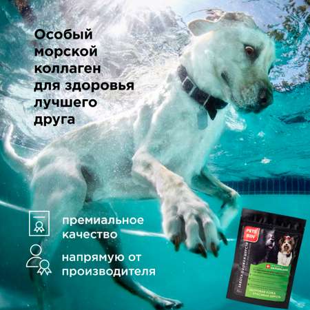 Лакомство для собак PETS BIN Skin and Hair для кожи и шерсти с коллагеном 1 2 и 3 типа 70 г