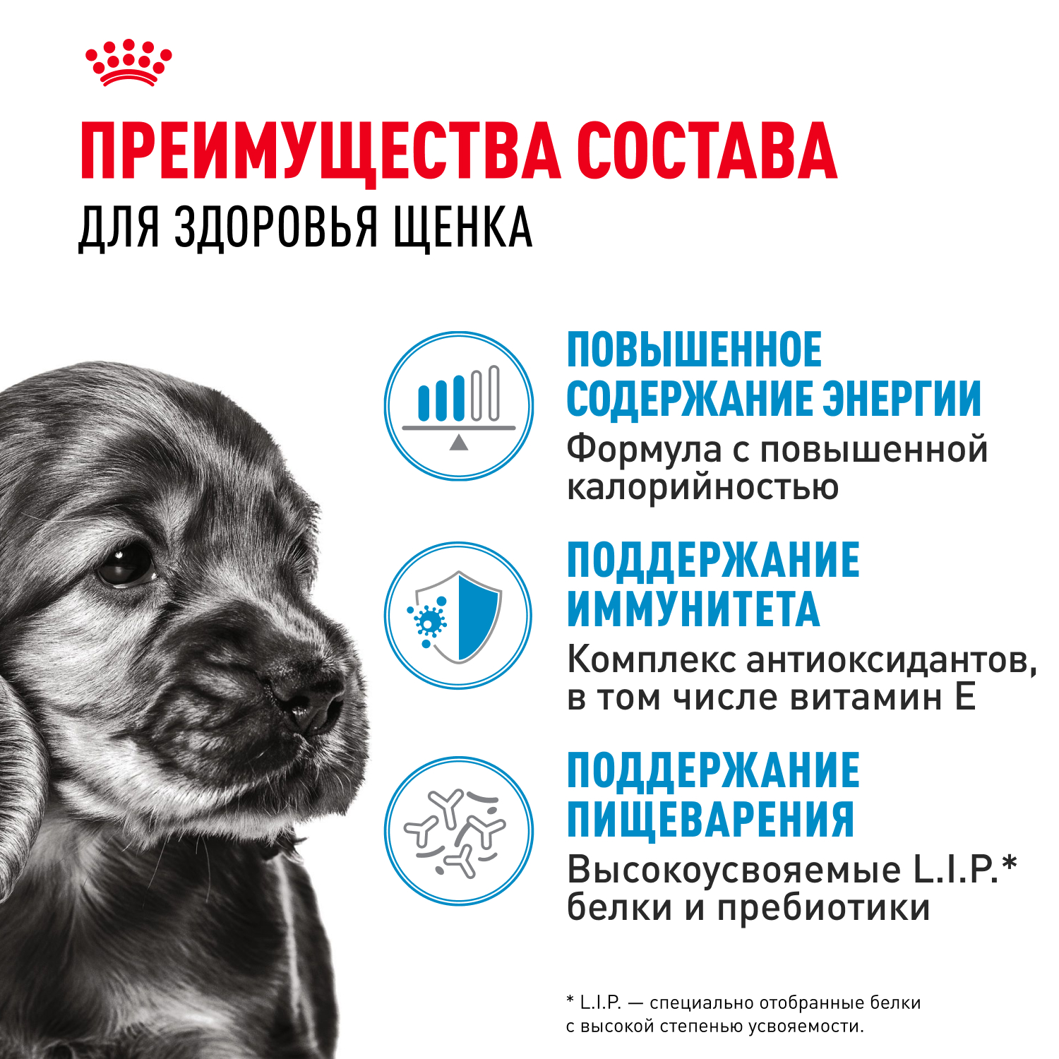 Корм для щенков Royal Canin Mini Puppy мелких пород до 10 месяцев кусочки в соусе пауч 85г - фото 3