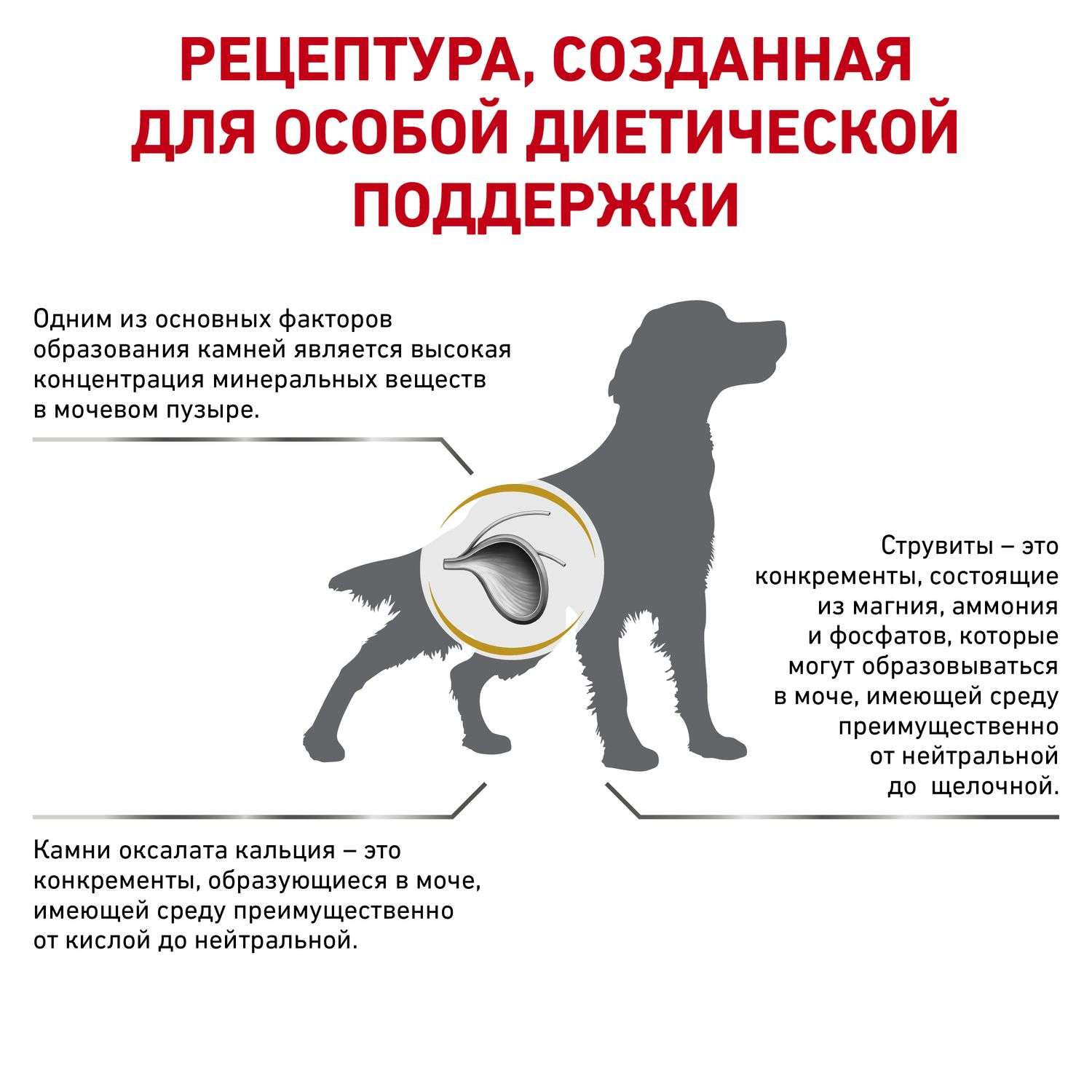 Корм для собак ROYAL CANIN Veterinary Diet Urinary S/O LP 18 при заболеваниях дистального отдела мочевыделительной системы 13кг - фото 2