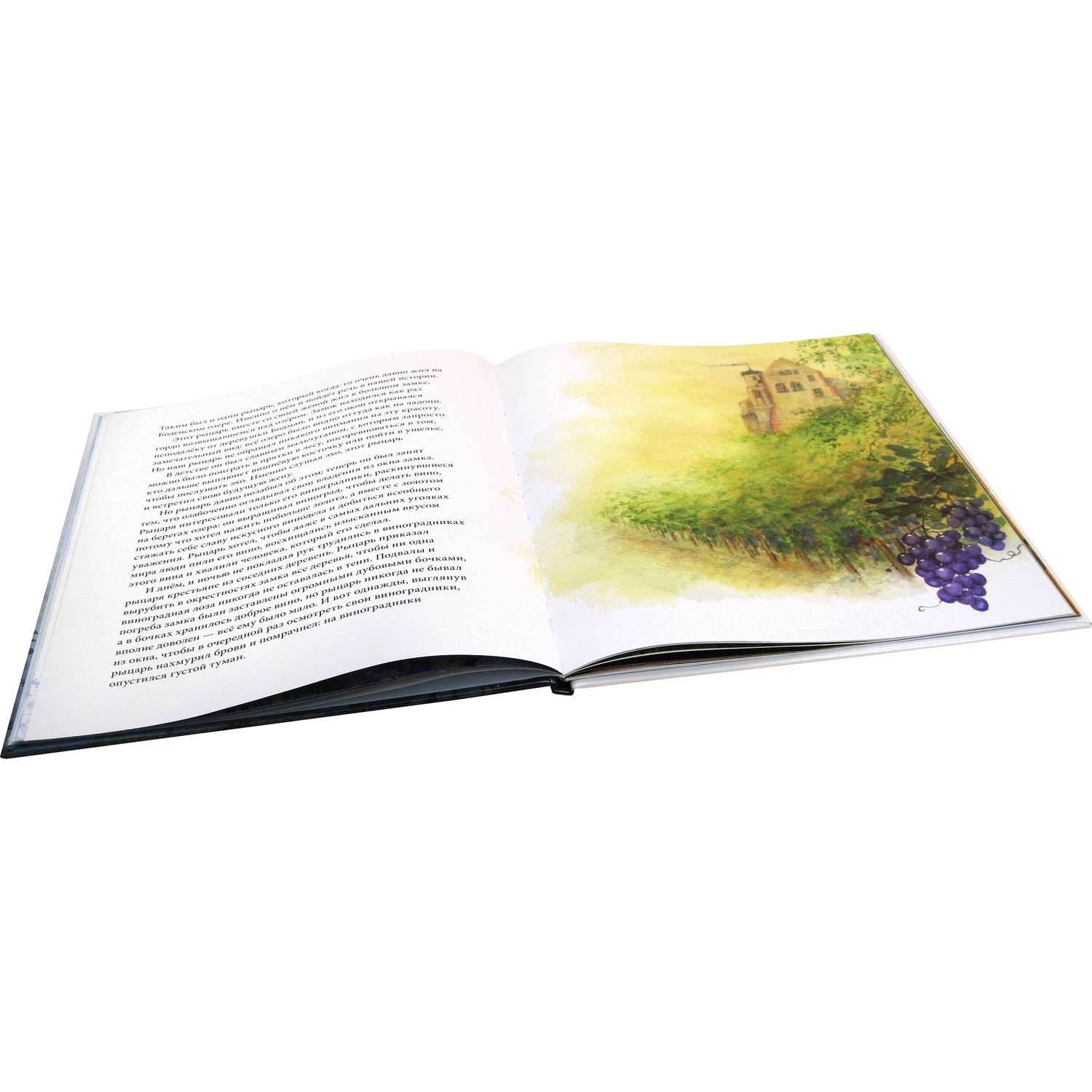 Книга Добрая книга Туманный человечек с Боденского озера. Иллюстрации Даниэлы Дрешер - фото 6