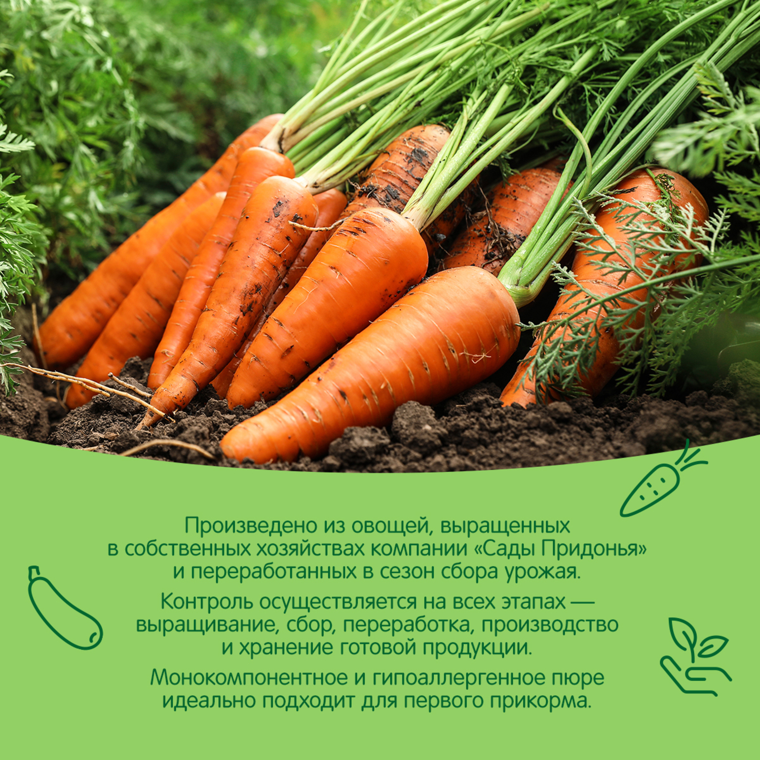 Пюре Сады Придонья морковь 120г с 5месяцев - фото 4