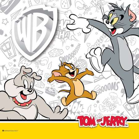 Коробка Пластишка Tom and Jerry универсальная с ручкой и аппликацией Зеленый