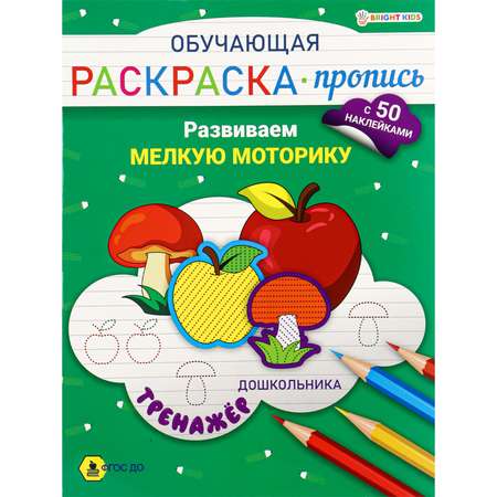 Раскраска-пропись с наклейками Bright Kids Обучающая Тренажер Развиваем мелкую моторику А4 8 листов