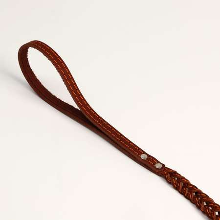 Поводок Пижон кожаный плетеный «Коса» 1.25 м х 1.1 см коричневый
