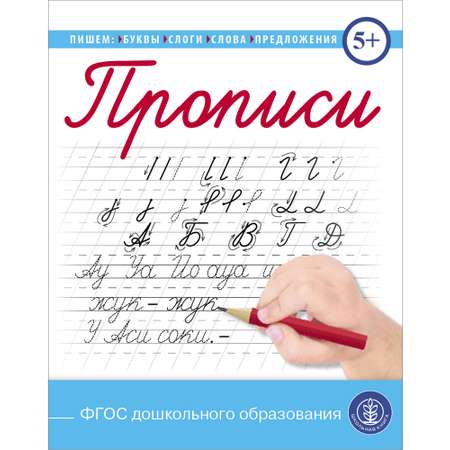 Комплект книг Школьная Книга Прописи. Пишем буквы слоги слова предложения 5 шт