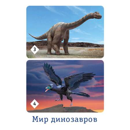 Настольные развивающие игры Нескучные игры для детей для всей семьи Мемо Мир динозавров