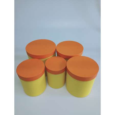Набор подарочных коробок Cartonnage Набор из 5 круглых Радуга оранжевый желтый