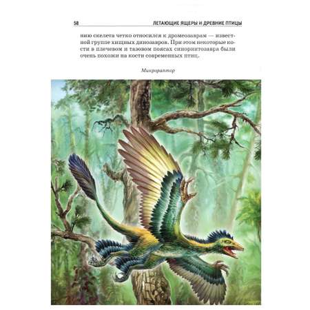 Книга Лада Летающие ящеры и древние птицы. Школьный путеводитель
