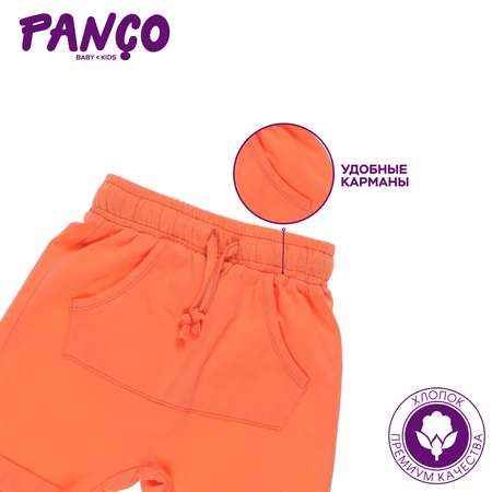 Шорты PANCO