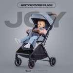 Коляска всесезонная Rant basic Joy RA303 Grey