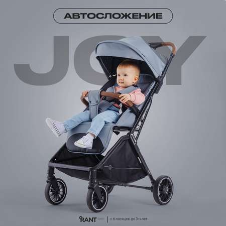 Коляска всесезонная Rant basic Joy RA303 Grey