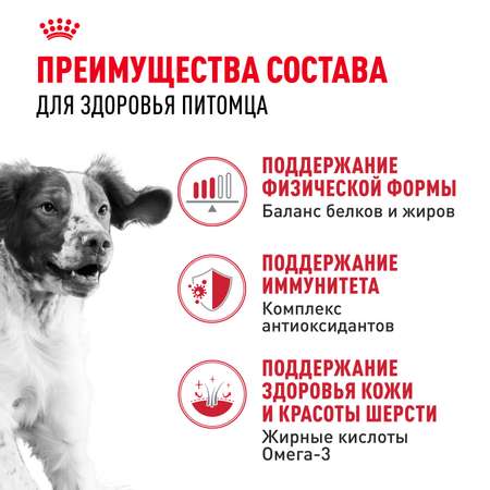 Корм для собак ROYAL CANIN средних пород 15кг