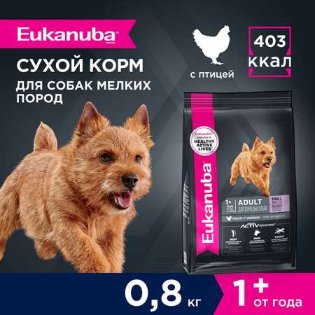 Корм Eukanuba Dog 800г для взрослых собак мелких пород сухой