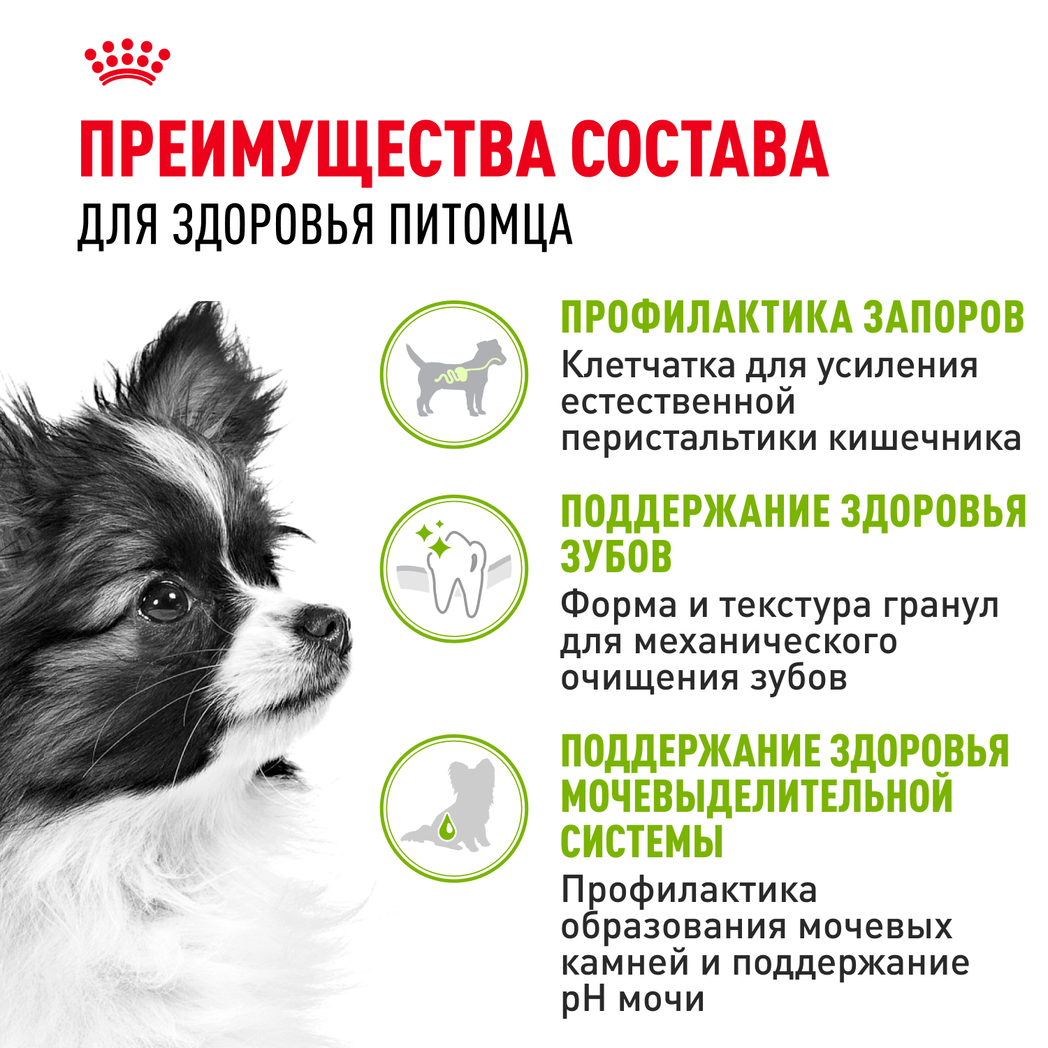 Корм для собак ROYAL CANIN миниатюрных пород 500г - фото 3