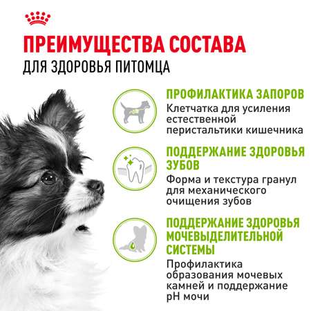 Корм для собак ROYAL CANIN миниатюрных пород 500г