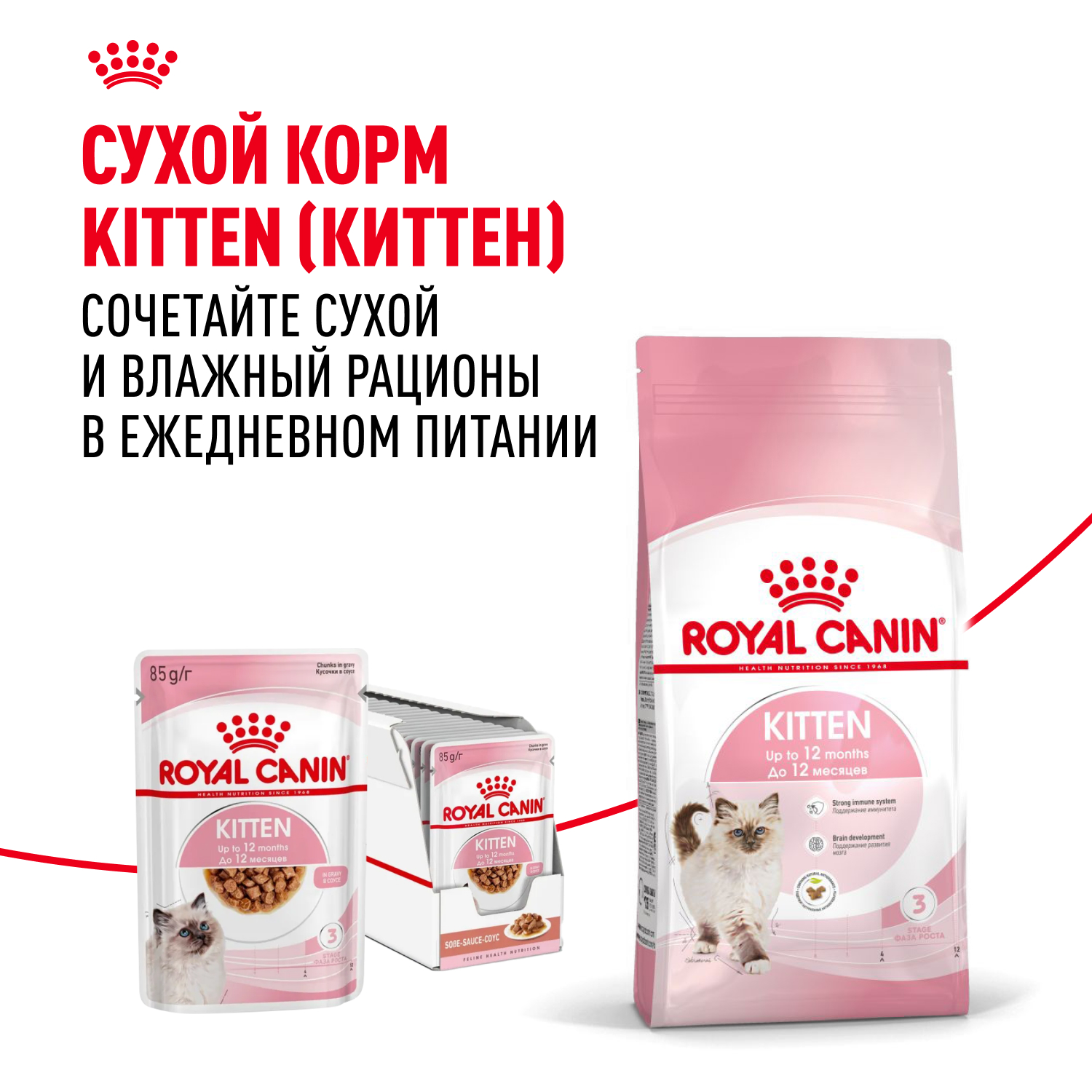 Влажный корм для кошек ROYAL CANIN Kitten 0.085 кг (полнорационный) - фото 9