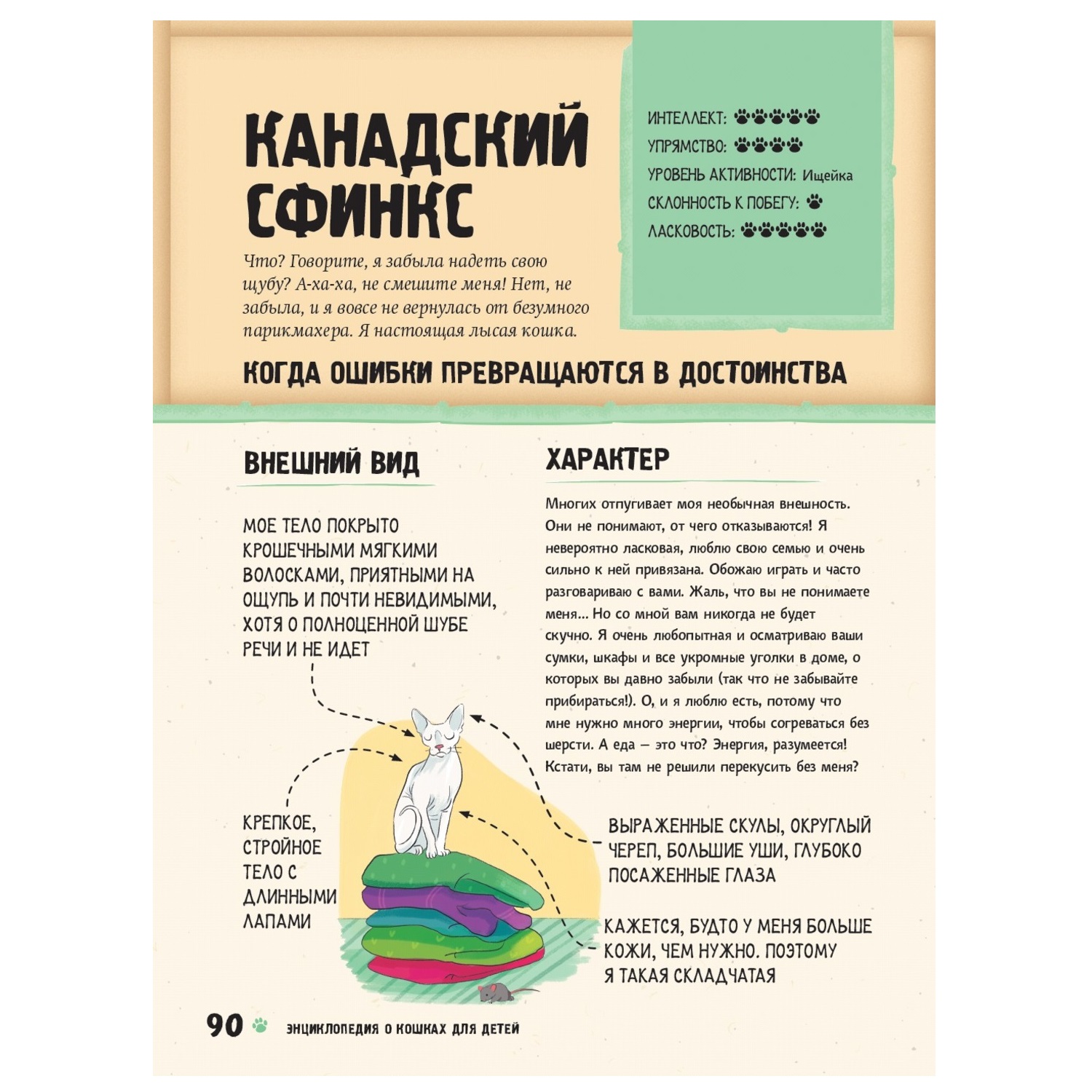 Книга АСТ Энциклопедия о кошках для детей Кошачьи истории внутри - фото 10