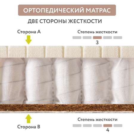 Матрас Plitex Orto Sleep 160х80