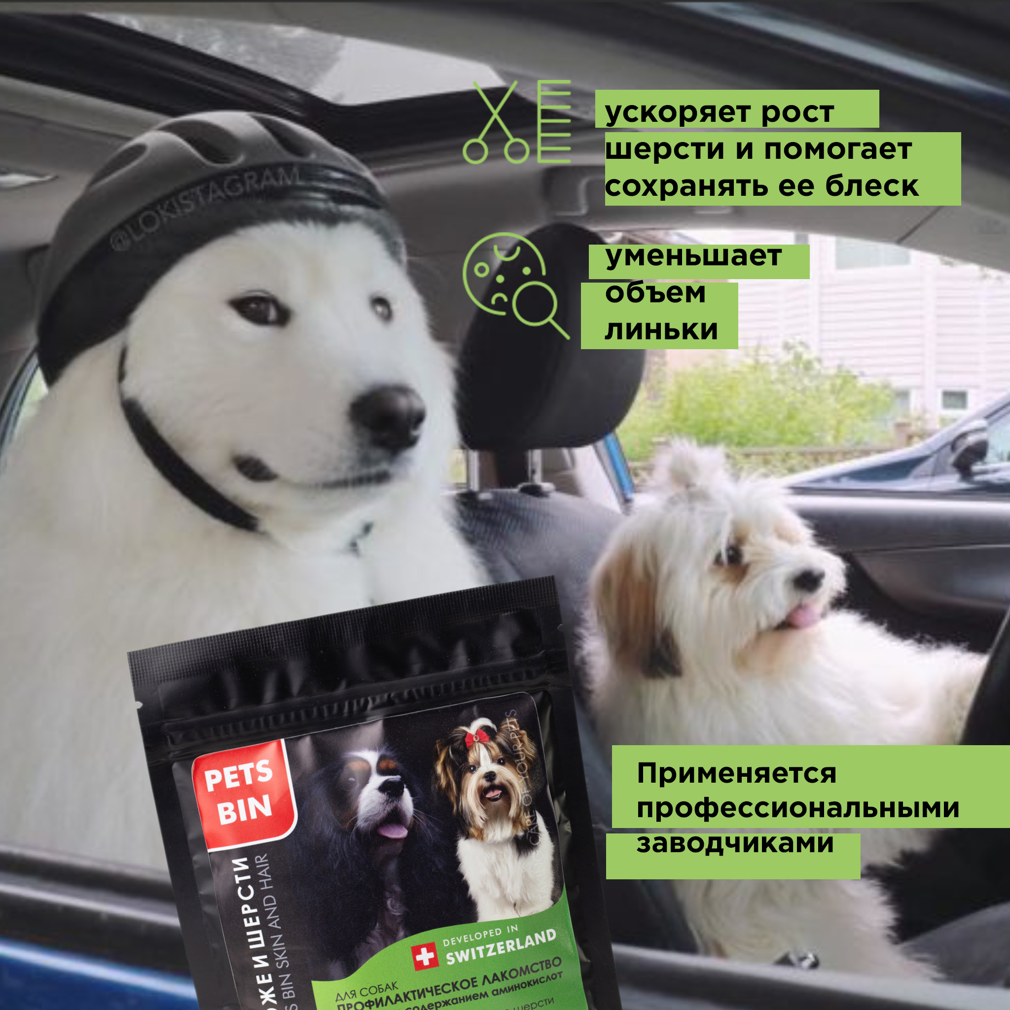 Лакомство для собак PETS BIN Skin and Hair для кожи и шерсти с коллагеном 1 2 и 3 типа 70 г - фото 8