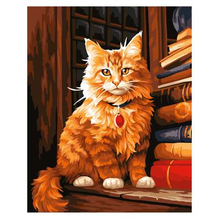 Картина по номерам Art on Canvas холст на подрамнике 40х50 см Мудрый кот