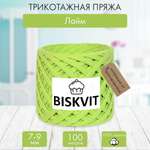 Трикотажная пряжа BISKVIT Лайм