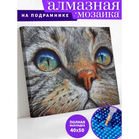 Алмазная мозаика Art on Canvas Кошачий взгляд в ассортименте