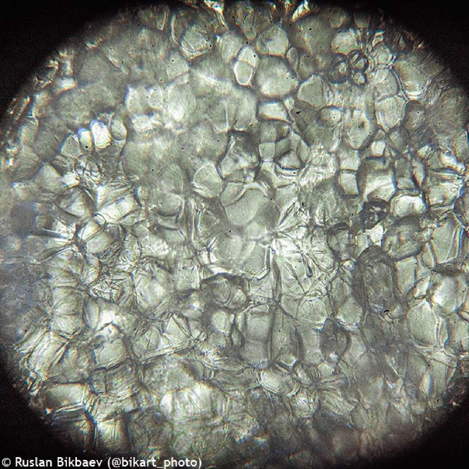 Микроскоп Levenhuk Rainbow 50L Plus Azure Лазурь - фото 23