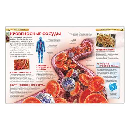 Книга Росмэн Детская иллюстрированная энциклопедия