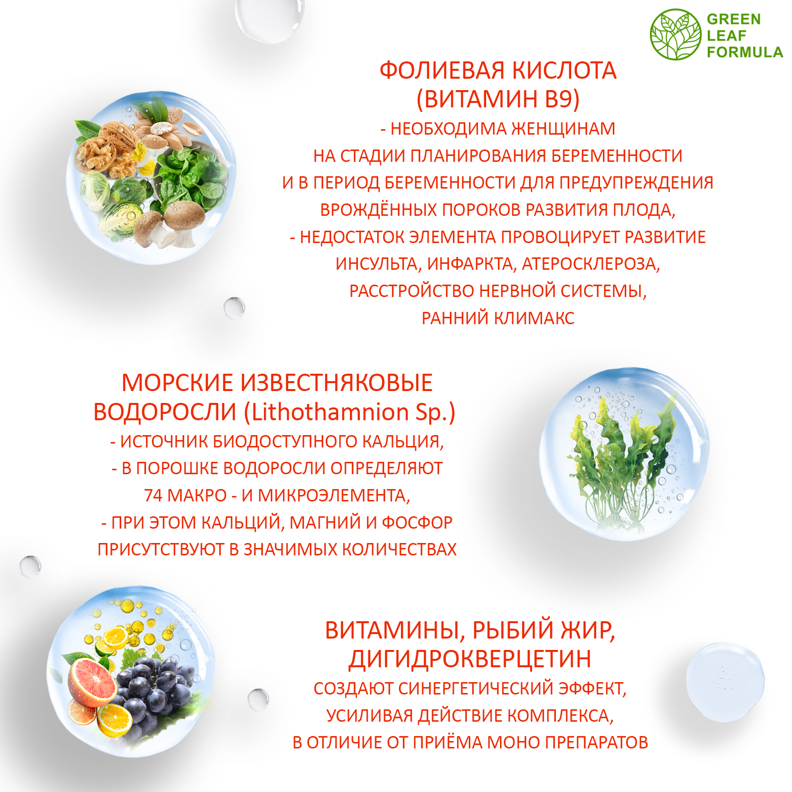 Фолиевая кислота и кальций Д3 Green Leaf Formula витаминный комплекс для  беременных и кормящих женщин 60 капсул купить по цене 897 ₽ в  интернет-магазине Детский мир