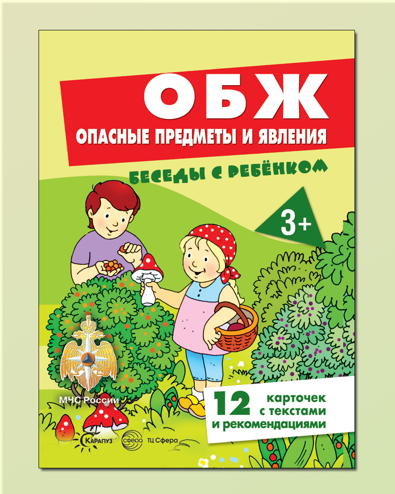 Развивающие карточки ТЦ Сфера Беседы с ребенком. ОБЖ. Опасные предметы и  явления купить по цене 171 ₽ в интернет-магазине Детский мир