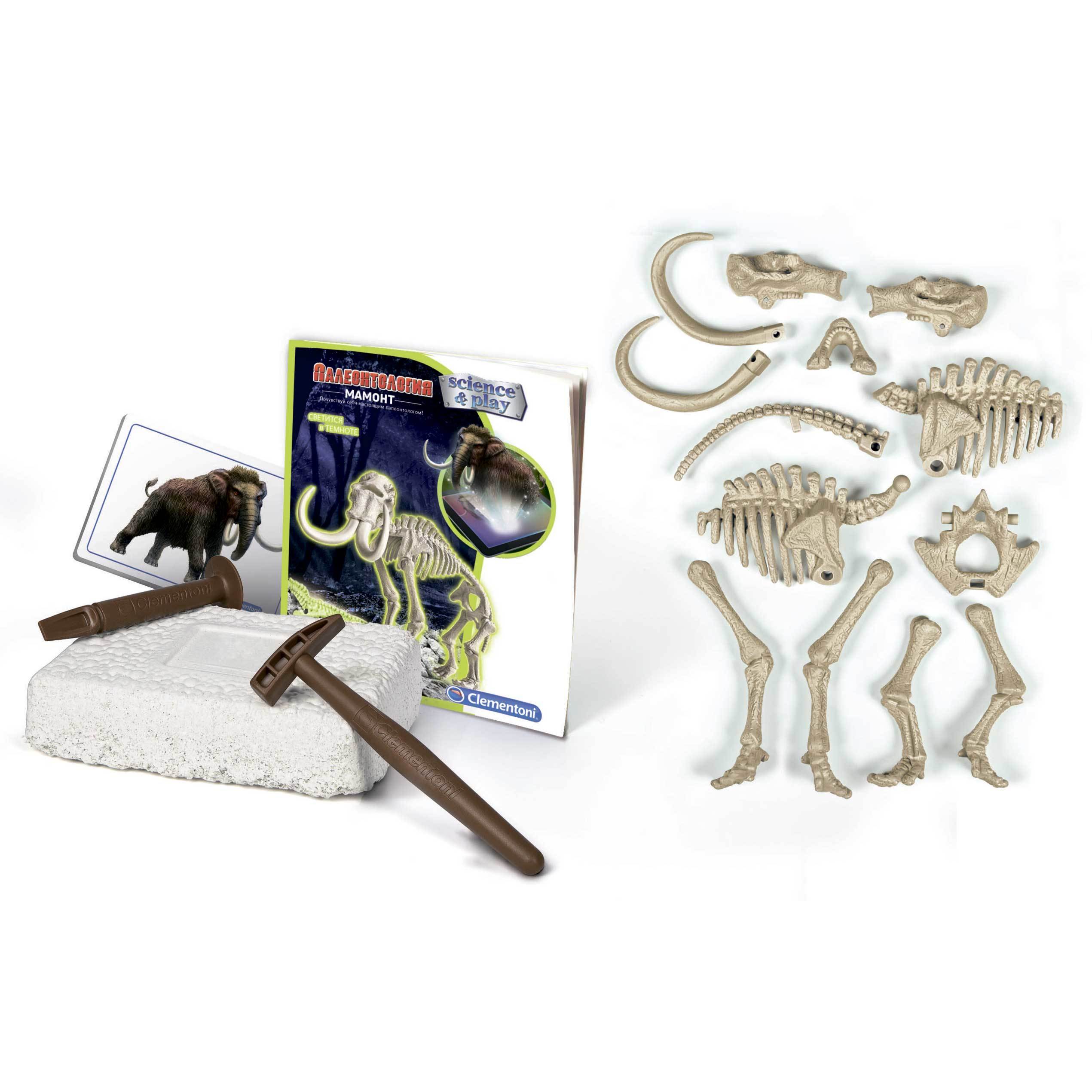 Набор археологический Clementoni Скелет мамонта Светится в темноте 50626 - фото 4