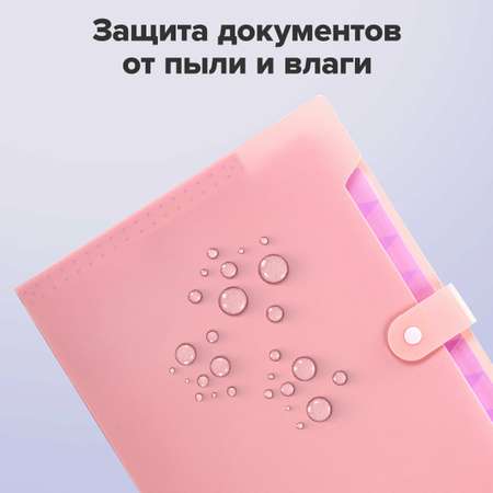 Папка-органайзер Brauberg А4