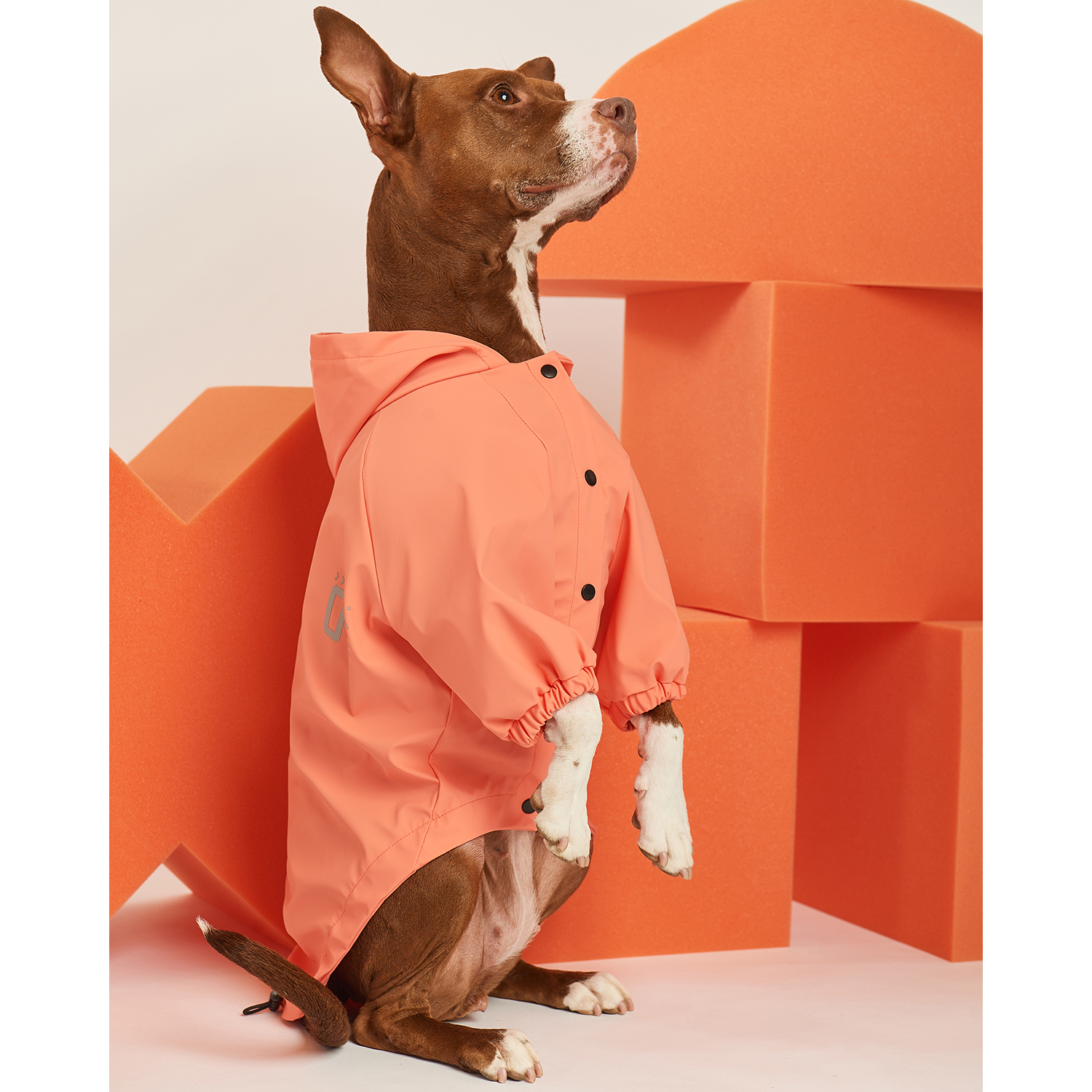 Куртка-дождевик для собак Zoozavr розовый 50 - фото 12