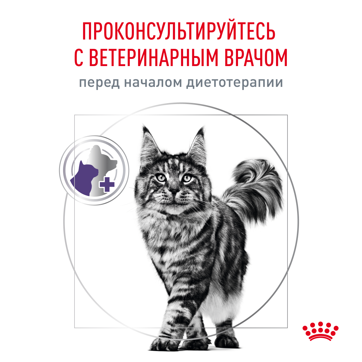 Корм для кошек ROYAL CANIN Neutered Satiety Balance стерилизованных 8кг - фото 5