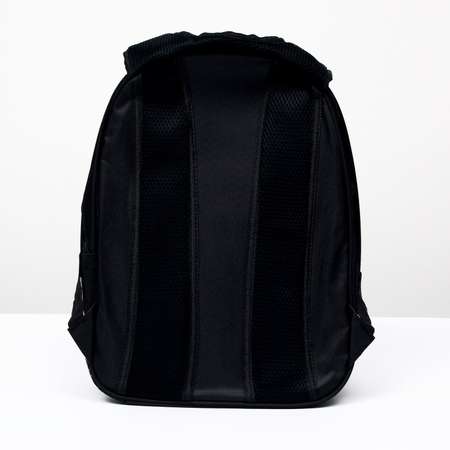 Рюкзак для переноски животных Пижон с окном для обзора «Лист»